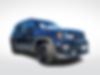 ZACNJBBB6LPM01335-2020-jeep-renegade