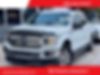 1FTEW1C53JFE73973-2018-ford-f-150