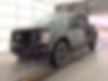 1FTEW1EP7LFB65173-2020-ford-f-150-0