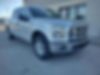 1FTEW1EP1HFA60491-2017-ford-f-150-1
