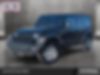 1C4HJXDN2LW269858-2020-jeep-wrangler