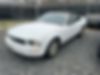 1ZVHT84N185165419-2008-ford-mustang