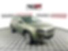 1C4PJMDX7MD152057-2021-jeep-cherokee