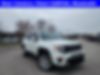ZACNJABB3KPK89568-2019-jeep-renegade