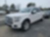 1FTEW1EF6GFD00382-2016-ford-f-150-0