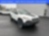 1C4PJMBS1HW634704-2017-jeep-cherokee-0