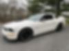 1ZVHT82H885192999-2008-ford-mustang-0