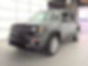 ZACNJBBB8LPL99507-2020-jeep-renegade