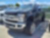 1FT7W2B64HEE95313-2017-ford-f-250-0