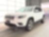 1C4PJMDX3MD205501-2021-jeep-cherokee