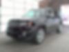 ZACNJBD15LPL96861-2020-jeep-renegade-0