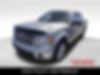 1FTFW1CV8AFD22440-2010-ford-f-150-0