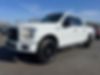 1FTEW1EPXGFB72804-2016-ford-f-150-0