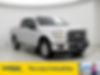 1FTEW1EF6FKD42055-2015-ford-f-150-0
