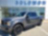1FTEW1EPXLFC80236-2020-ford-f-150-0
