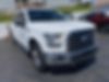 1FTEW1EP1HFA85133-2017-ford-f-150-0