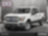 1FTEW1CP0LKD73390-2020-ford-f-150-0