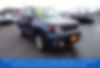 ZACNJBD18LPL85014-2020-jeep-renegade