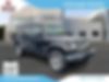 1C4HJWEG0HL705805-2017-jeep-wrangler-unlimited-0