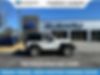 1C4GJXAGXLW193260-2020-jeep-wrangler