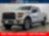 1FTEX1EP1GFD17662-2016-ford-f-150