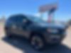 3C4NJDDBXJT129308-2018-jeep-compass-0