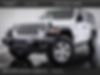 1C4HJXDM9LW248688-2020-jeep-wrangler-unlimited
