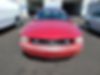1ZVHT84NX85122326-2008-ford-mustang-1