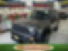 ZACCJBDT8GPD24859-2016-jeep-renegade
