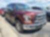 1FTEW1EF6GFB30783-2016-ford-f-150-2