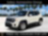 ZACNJCBB0MPN27410-2021-jeep-renegade