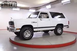 3B4GM17Y8LM023383-1990-dodge-ramcharger
