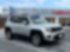 ZACNJBBB3KPK52722-2019-jeep-renegade