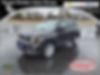 ZACNJBBBXLPL80036-2020-jeep-renegade