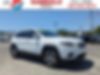 1C4PJMDX4MD140111-2021-jeep-cherokee-0