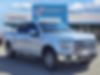 1FTEW1EF7FFC35086-2015-ford-f-series-2