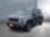 ZACNJDC17MPM35982-2021-jeep-renegade