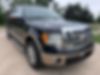 1FTFW1CT3BFB21528-2011-ford-f-150-1
