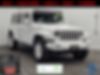 1C4HJXEN3LW202507-2020-jeep-wrangler-unlimited