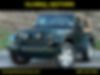 1J4AA5D16AL124351-2010-jeep-wrangler-0