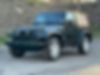 1J4AA5D16AL124351-2010-jeep-wrangler-2