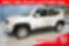ZACNJBBB3LPL29638-2020-jeep-renegade