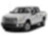 1FTEW1CP1GKE23638-2016-ford-f-150-0