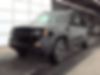ZACNJBC15LPM03597-2020-jeep-renegade