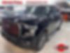 1FTEW1EF0GFC09107-2016-ford-f-150