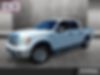 1FTFW1CT4BFB55803-2011-ford-f-150-0
