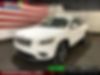 1C4PJMDX5KD315009-2019-jeep-cherokee