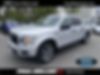 1FTEW1EP9KKD78731-2019-ford-f-150-0