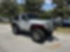 1J4AA2D11AL112557-2010-jeep-wrangler-1