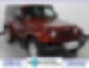 1J8FA54159L700253-2009-jeep-wrangler